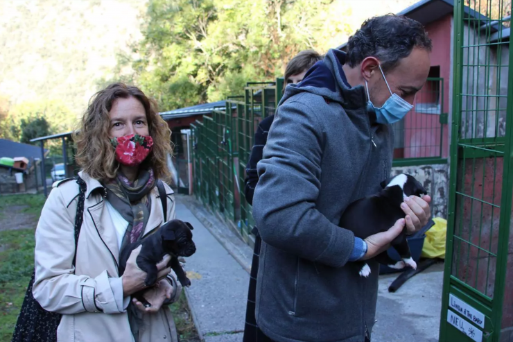 El cap de Govern, Xavier Espot, a la ministra de Medi Ambient, Agricultura i Sostenibilitat, Sílvia Calvó, amb cadells de la gossera.